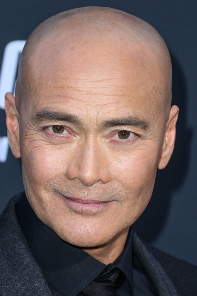 Mark Dacascos Bio Age Family Husband Net Worth Vegan vrogue.co