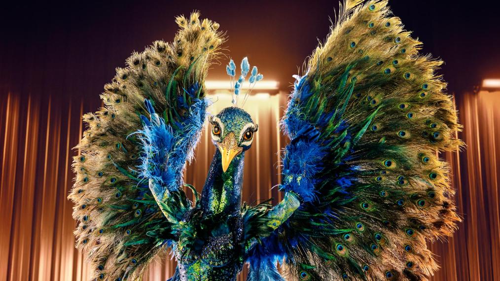 Pauw in The Masked Singer 2025