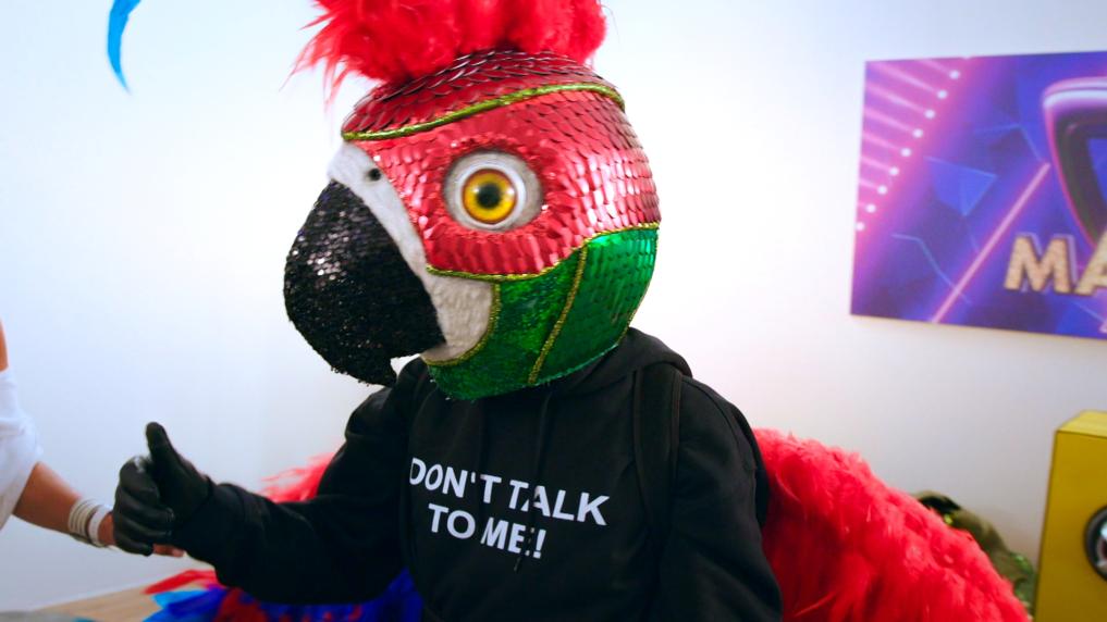 Papegaai Mathias Vergels in The Masked Singer