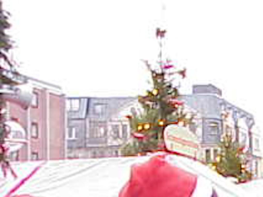 Ann Vervoort en Regi