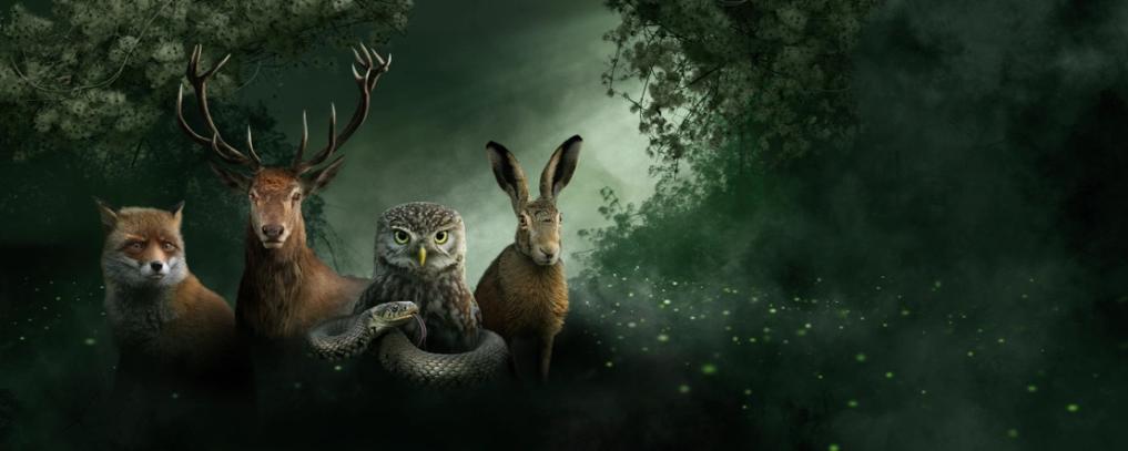 Onze Natuur, De Film