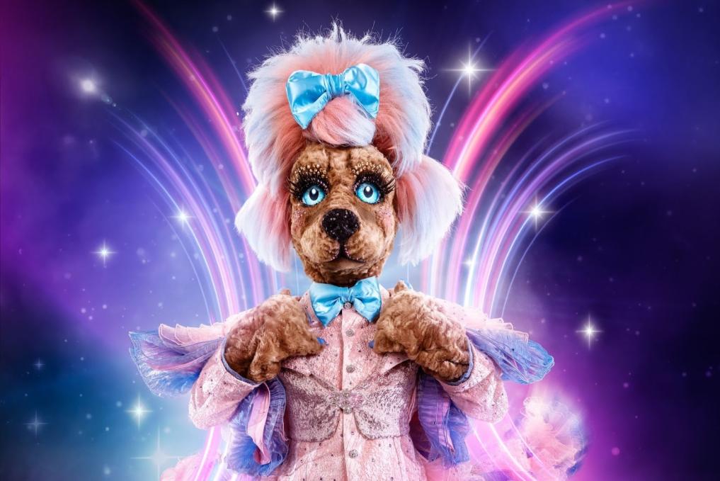 Labradoodle in The Masked Singer